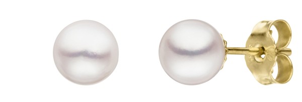 Klassische Perlenohrstecker Gelbgold - Süßwasser Button weiß 7-8 mm