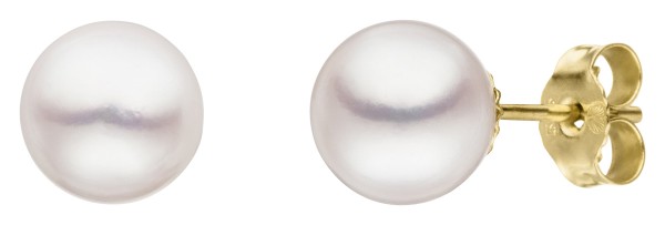 Klassische Perlenohrstecker Gelbgold – Süßwasser Button weiß 10-11 mm